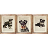 Miniature Schnauzer Poster, Dog Dictionary Art Prints Set