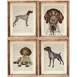 Set of 4 German Shorthaired Pointer Dictionary Art Prints, Noble GSP