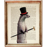Set of 4 Otter Dictionary Art Prints, Funny Animal Tales Wall Decor