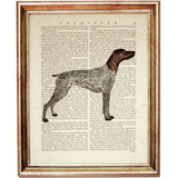 Set of 4 German Shorthaired Pointer Dictionary Art Prints, Noble GSP