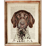 Set of 4 German Shorthaired Pointer Dictionary Art Prints, Noble GSP