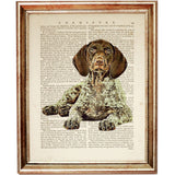 Set of 4 German Shorthaired Pointer Dictionary Art Prints, Noble GSP