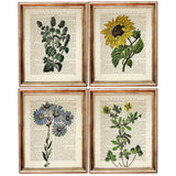 Set of 4 Flower Dictionary Art Prints, Blooming Beauty Wall Decor