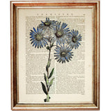 Set of 4 Flower Dictionary Art Prints, Blooming Beauty Wall Decor