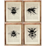 Set of 4 Black & White Bees Dictionary Art Prints, Timeless Buzz Decor