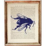 Set of 4 Bee Dictionary Art Prints, Buzzing Beauties Wall Decor