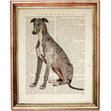 Set of 4 Italian Greyhound Dogs Dictionary Art Prints, Eleganza Canina