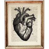 Set of 6 Anatomy Dictionary Art Prints, Get to the Heart of the Matter