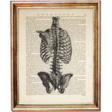 Set of 6 Anatomy Dictionary Art Prints, Get to the Heart of the Matter