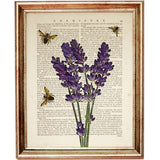 Set of 6 Botanical Dictionary Art Prints, Botanical Chronicles Decor