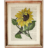 Sunflower Dictionary Art Print, Stunning Flower Serenade Wall Decor