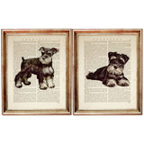 Schnauzer Mini Art Set - 2 Piece Dictionary Prints Wall Decor