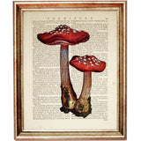 Set of 6 Mushroom Dictionary Art Prints, Fungi Fanatics Kitchen Wall Decor