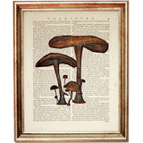 Set of 6 Mushroom Dictionary Art Prints, Fungi Fanatics Kitchen Wall Decor
