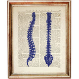 Set of 4 Cobalt Blue Anatomy Dictionary Art Prints, Anatomical Decor