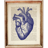 Set of 4 Cobalt Blue Anatomy Dictionary Art Prints, Anatomical Decor