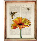 Set of 6 Botanical Dictionary Art Prints, Botanical Chronicles Decor