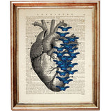 Set of 6 Anatomy Dictionary Art Prints, Anatomical Explorations Decor