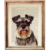 Miniature Schnauzer Dog Print on Dictionary Page, Nursery Wall Art