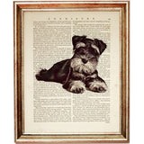 Schnauzer Dog Dictionary Art Print, Miniature Schnauzer Portrait Wall Decor