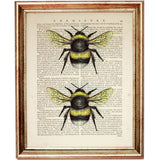Bumble Bee Wall Art Print, Beekeeper Dictionary Art Decor