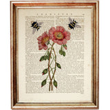 Set of 4 Prints, Flowers with Bees Dictionary Art Print, Floral Artwork