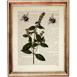 Set of 4 Prints, Flowers with Bees Dictionary Art Print, Floral Artwork