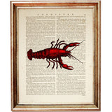 Set of 4 Lobster Dictionary Art Print, Captivating Crimson Crustaceans