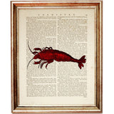 Set of 4 Lobster Dictionary Art Print, Captivating Crimson Crustaceans