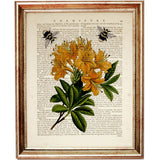 Set of 4 Prints, Flowers with Bees Dictionary Art Print, Floral Artwork