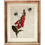 Botanical Dictionary Art Prints Set of 10 - Floral & Bee Wall Decor Posters - Wild Floral Artwork