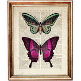 Set of 3 Butterfly Dictionary Art Prints - Wall Decor