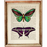 Set of 3 Butterfly Dictionary Art Prints - Wall Decor