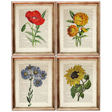 Set of 4 Flower Dictionary Art Prints, Blooming Beauties Wall Decor