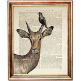 Safari Nursery Wall Art Set, Elephant, Bird, Antelope, Rhinoceros, Dictionary Art Prints