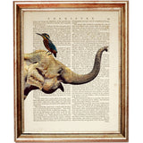 Safari Nursery Wall Art Set, Elephant, Bird, Antelope, Rhinoceros, Dictionary Art Prints