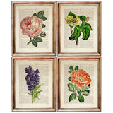 Set of 4 Botanical Flowers Dictionary Art Prints, Botanical Blooms Art