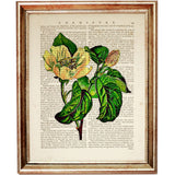 Set of 4 Botanical Flowers Dictionary Art Prints, Botanical Blooms Art