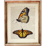 Monarch Butterfly Print, Dictionary Art for Walls, Butterfly Wall Decor Poster