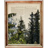 The Wild Woodland Set of 3 Forest Dictionary Art Prints
