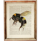 Set of 4 Flowers with Bees Dictionary Art Prints, Blooming Harmony Art