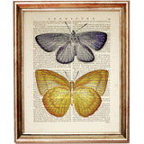 Set of 8 Colorful Butterflies Dictionary Art Prints, Nature Wall Decor