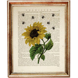 Set of 4 Flowers with Bees Dictionary Art Prints, Blooming Harmony Art