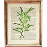 Set of 6 Flower Dictionary Art Prints, Floral Symphony Poster