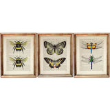 Set of 3 Dictionary Art Prints, Bumble Bee, Butterfly, Dragonfly Wall Art