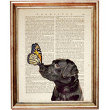 Set of 8 Animal Portrait Dictionary Art Prints, Animal Kingdom Posters