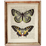 Set of 3 Dictionary Art Prints, Bumble Bee, Butterfly, Dragonfly Wall Art