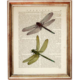 Set of 3 Dragonfly Dictionary Art Prints, Fluttering Wings Wall Decor