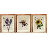 Sunflower Lavender Bumblebee Botanical Dictionary Art Prints Set - Wall Art Decor