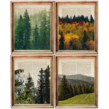 Set of 4 Dictionary Art Prints, Enchanting Forest Wall Decor